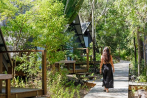 Roamer Magnetic Island Koala Park - formerly Selina Magnetic Island